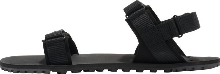 Actual product image Xero Shoes D-Trail (41.5)