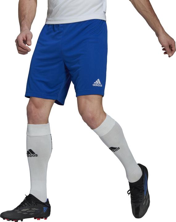 Actual product image adidas Entrada 22 Shorts Men (3XL)