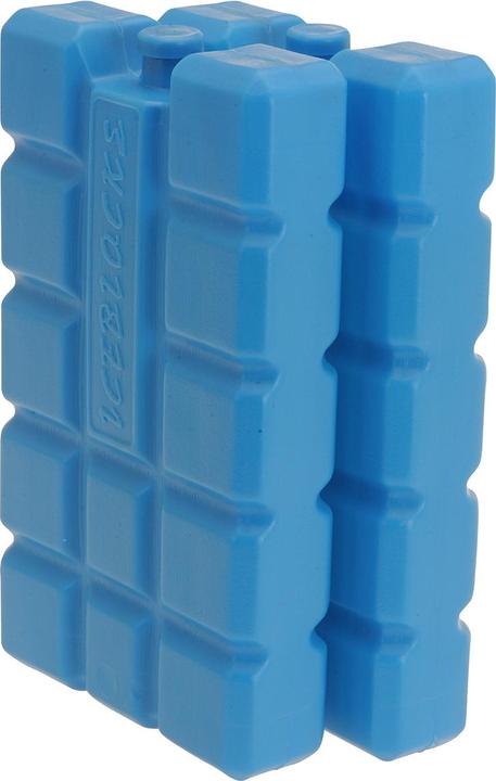 Actual product image Champ Cooling element set of 2