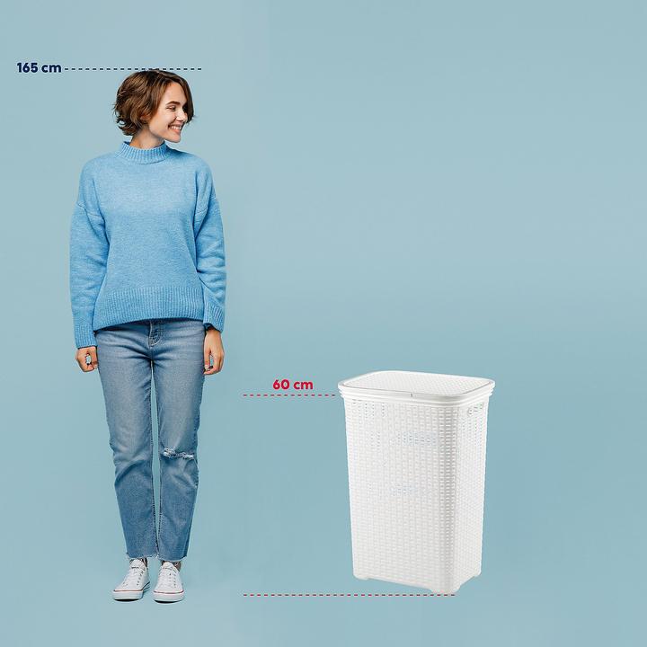 Actual product image Kela Laundry box Brasilia light (60 l)