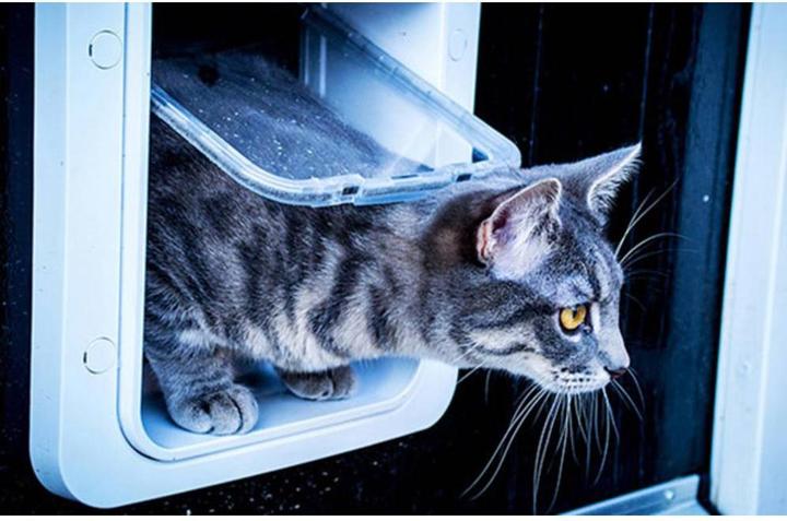 Actual product image SureFlap Microchip cat door (Microchip Cat Flap)
