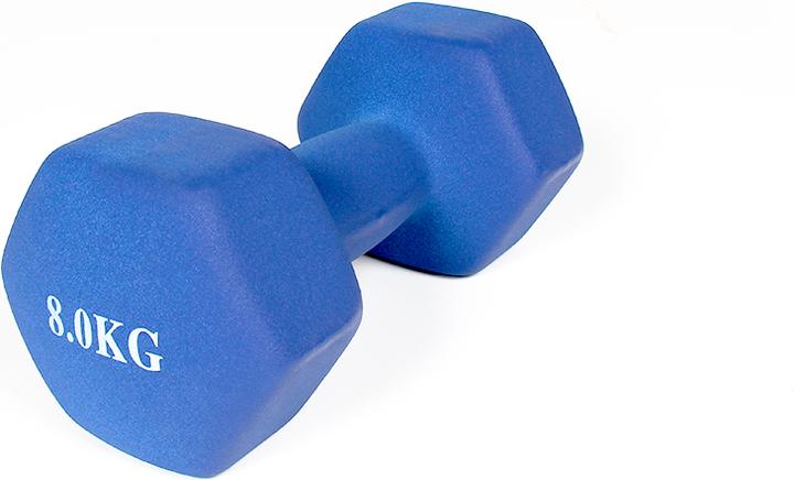 Produktbild Gladiatorfit Neopren-Hanteln (2 x 8 kg)