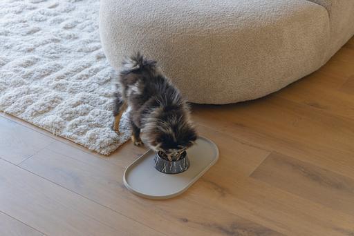 Immagine prodotto Designed by Lotte Ciotola per cani Meis (0.16 l)