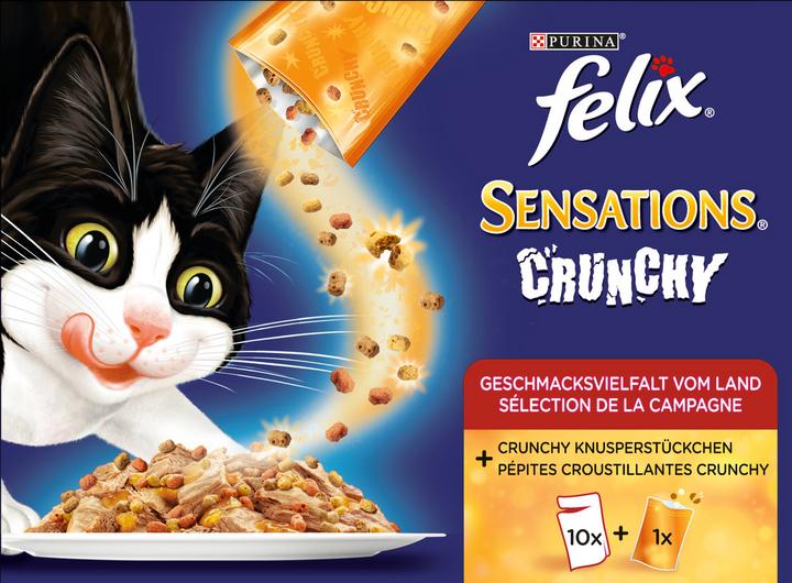 Actual product image Felix Sensations (Adult, 10 pcs., 85 g)