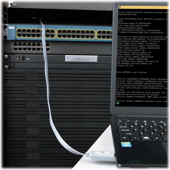 Actual product image Eaton USB-A to RJ45 Serial Rollover Cable M/M Cisco Compatible 250 Kbps 6 ft. 1.83 m grey (USB-A, 1 Ports)