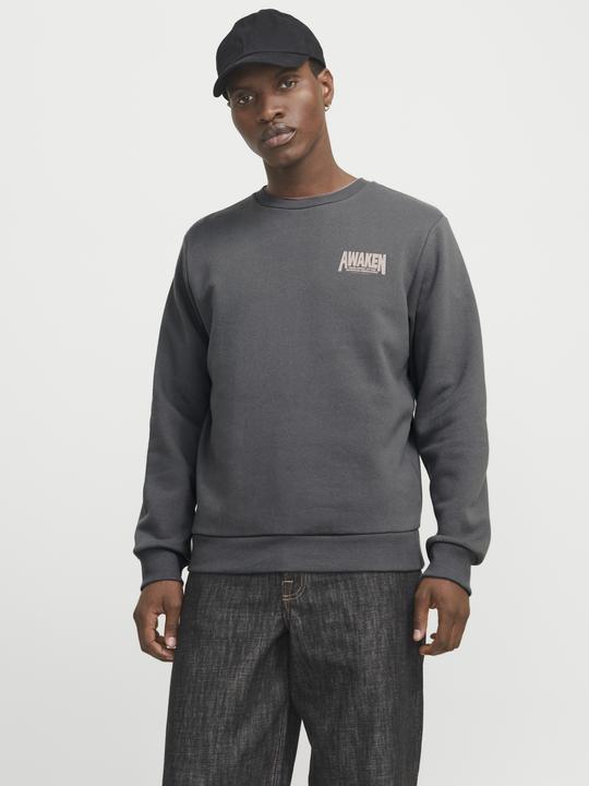 Produktbild Jack & Jones Rückenprint Sweatshirt Sweatshirt (M)