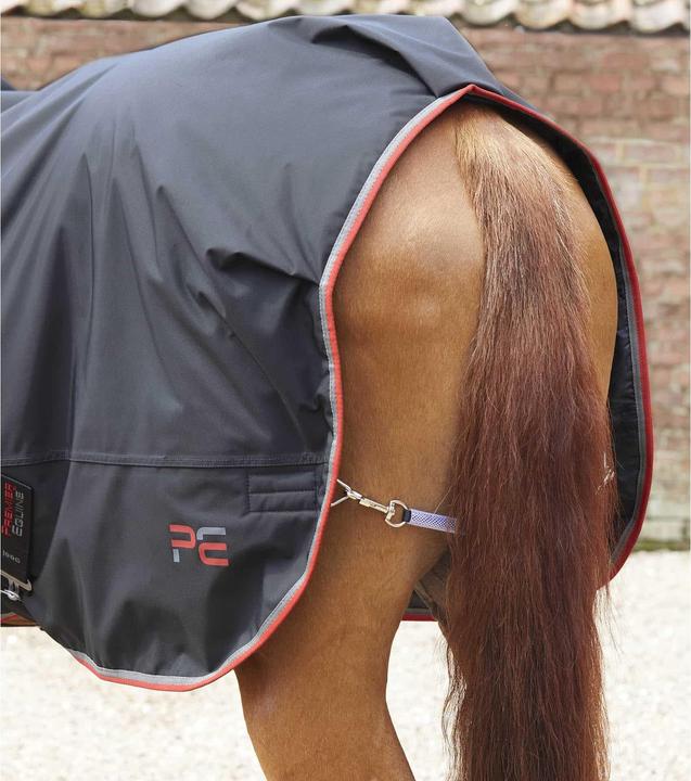 Immagine prodotto Premier Equine 100 g (152 cm)