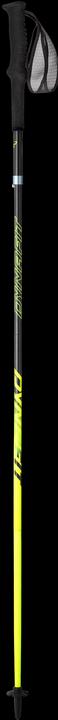 Actual product image Dynafit Vertical Pro poles (110 cm)