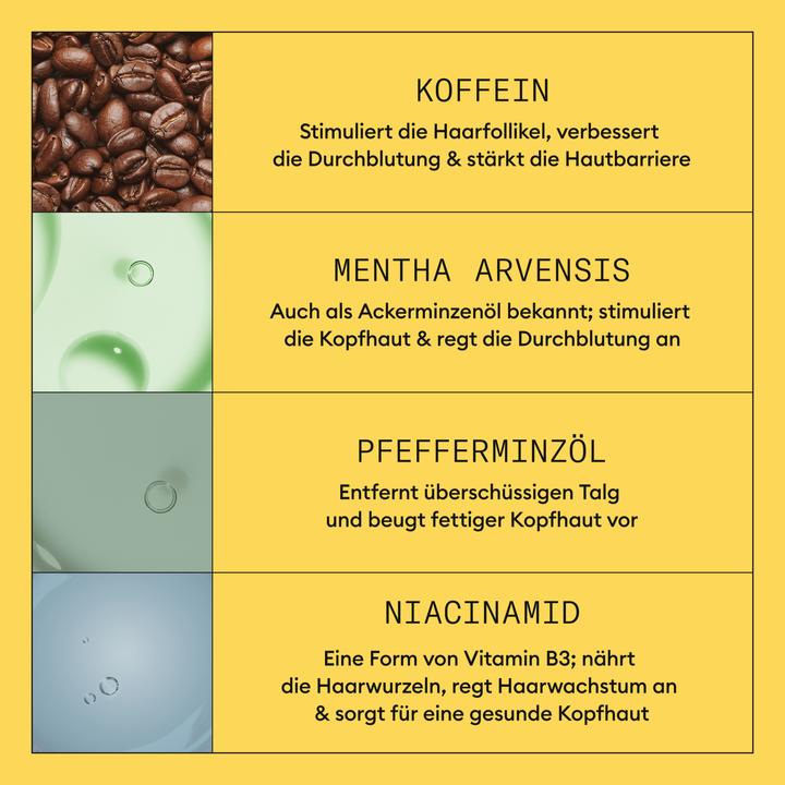Nährwerte und Zutaten Nioxin Scalp + Hair Thickening System 1 (Haarpflege set)