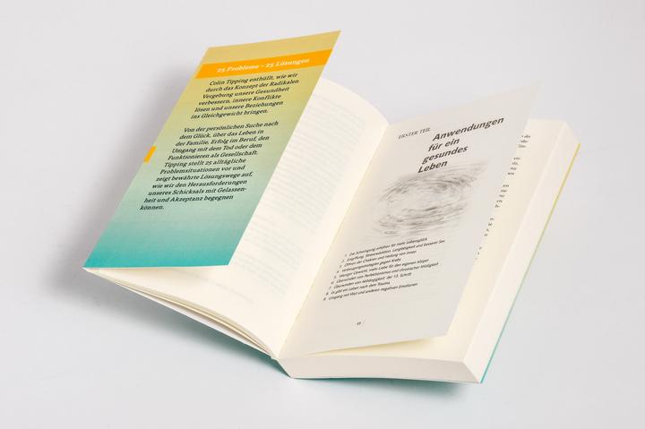 Actual product image Ich vergebe - Das Praxisbuch (German, Colin C. tipping, 2024)