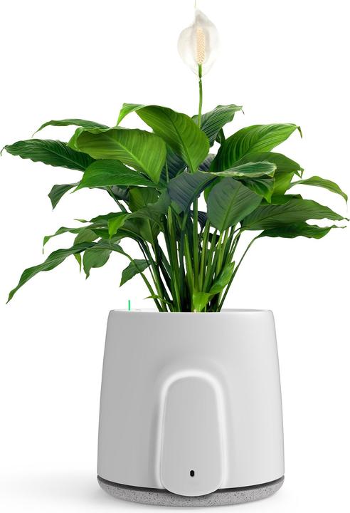 Image du produit Vitesy Natede Smart (20 m²)
