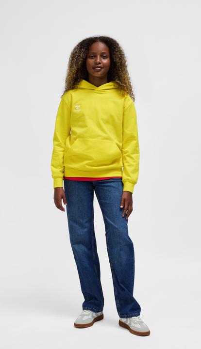 Actual product image hummel HMLGO 2.0 HOODIE KIDS (116)