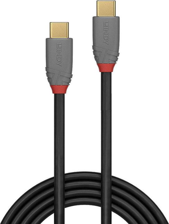 Immagine prodotto Lindy Anthra Line (0.50 m, USB 3.1)