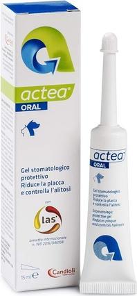 Actual product image Candioli Actea Oral Gel Stomatologi 15ml (Dog, Cat, 15 ml)