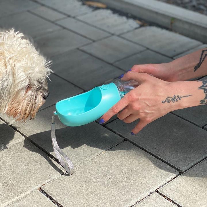 Actual product image Intirilife Portable Dog Drinking Bottle (0.35 l)