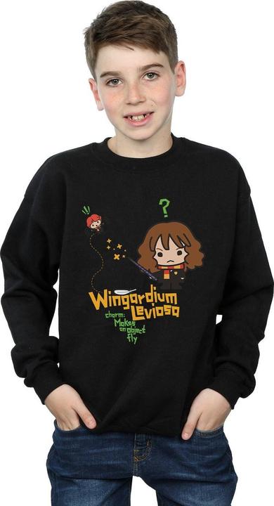 Image du produit - Sweat WINGARDIUM LEVIOSA - Garçon (140, 146)