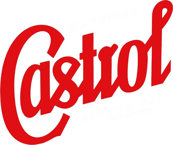 Actual product image Castrol Unisex Adult Registered Logo Hoodie (M)