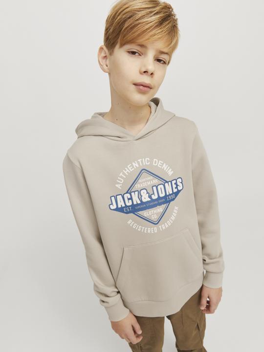 Produktbild Jack & Jones JJELOGO SWEAT HOOD 2 COL 24/25 NOOS JNR (140)