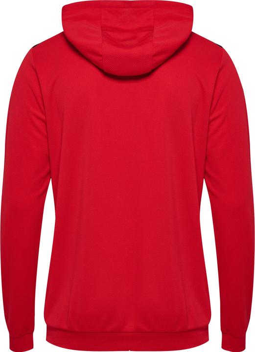Actual product image hummel Hmlauthentic Pl Hoodie (M)