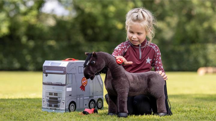 Image du produit LeMieux jouet kit nettoyage équitation toy pony