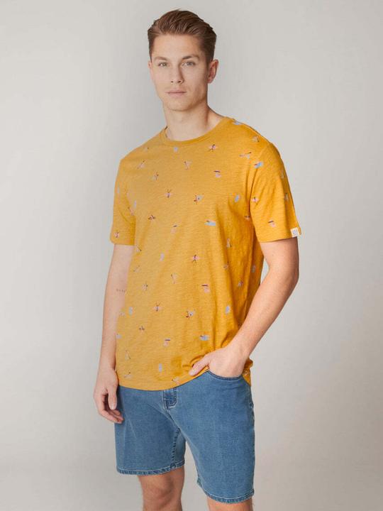 Produktbild Protest Herren T-Shirt PRTEGONIA Tumericyellow XXL (XXL)
