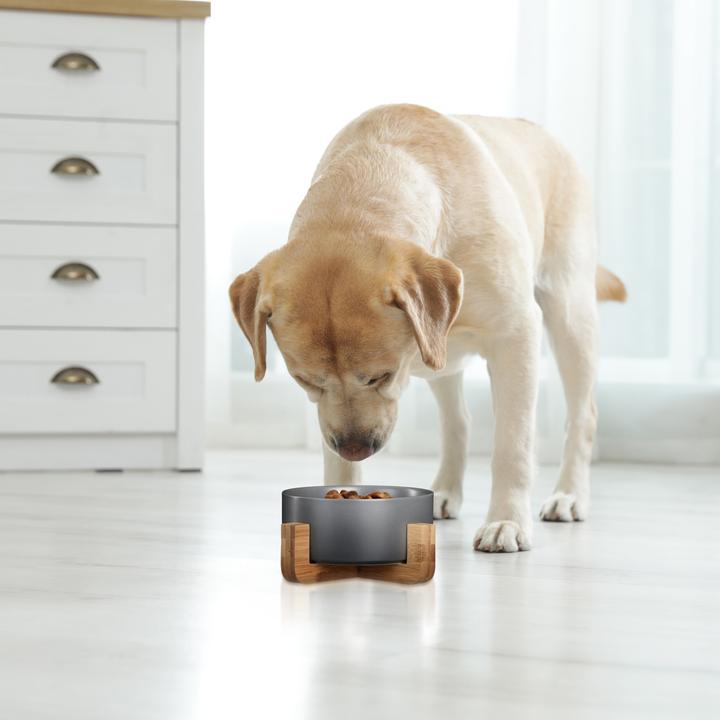 Immagine prodotto Relaxdays Ciotola-alzata per-cani (0.85 l)