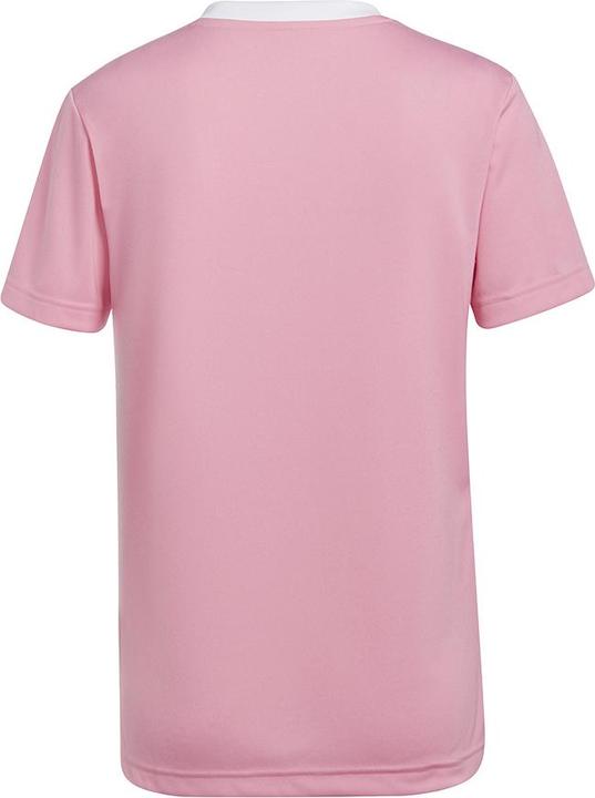 Immagine prodotto adidas Camicia da calcio Entrada 22 Donna (M)