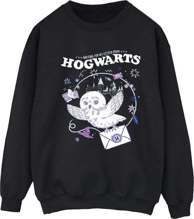 Produktbild Owl Letter From Hogwarts Sweatshirt (M)