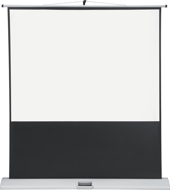 Image du produit Franken Écran sur pied x-tra! LWM216 172.5x9x24.5cm gris clair (4:3)