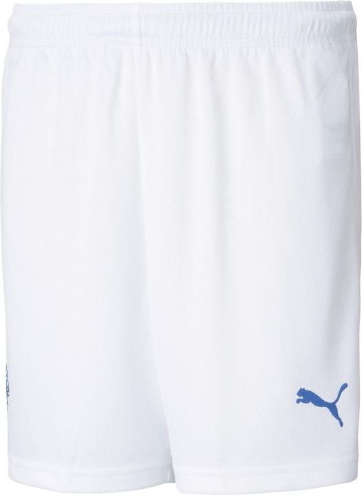 Actual product image Puma Iceland Away Kids Shorts (164)