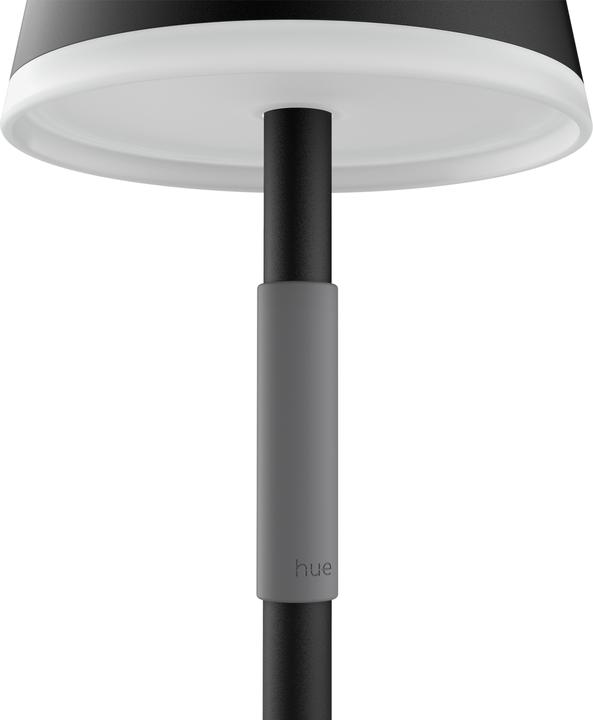 Actual product image Philips Hue Go (370 lm)