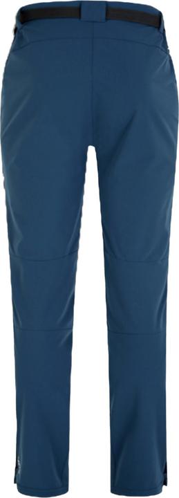 Actual product image Dare2b Mens Tuned In Pro Lightweight Trousers (54 D)