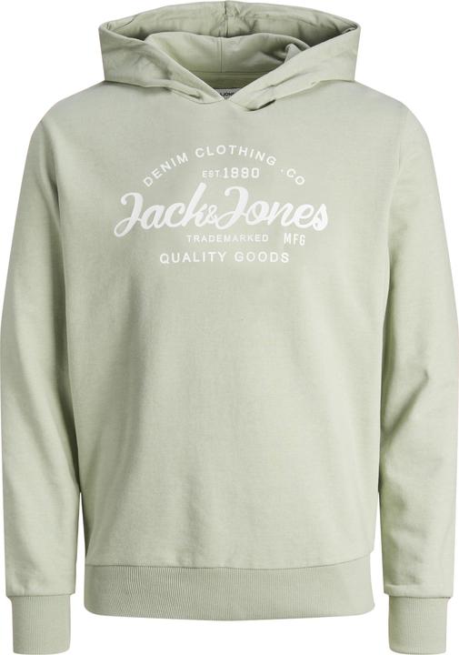 Image du produit Jack & Jones Jjforest Sweat Hood Jnr (140)