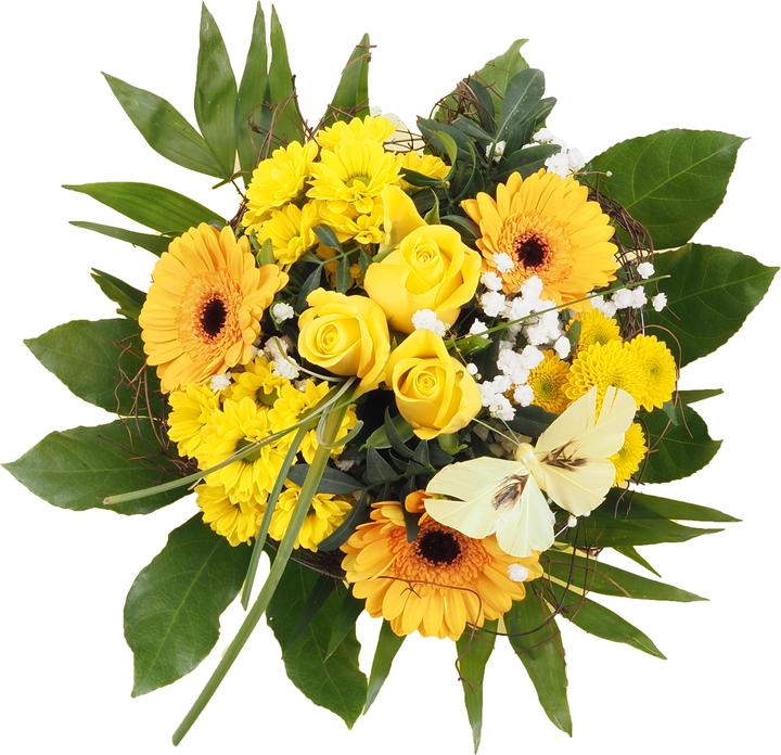 Giallo