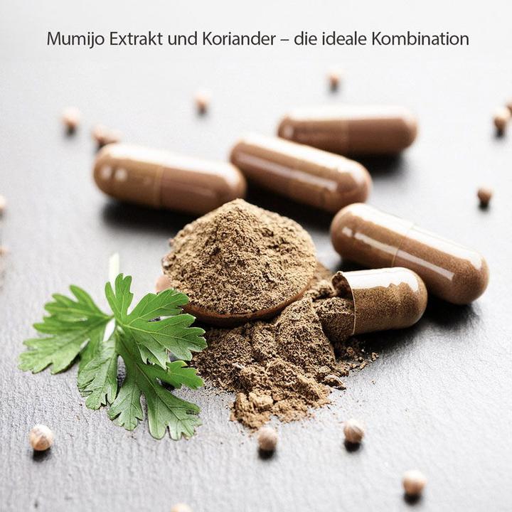 Image du produit Effective Nature Mumijo Shilajit (60 pièce(s), Capsules, 37 g)