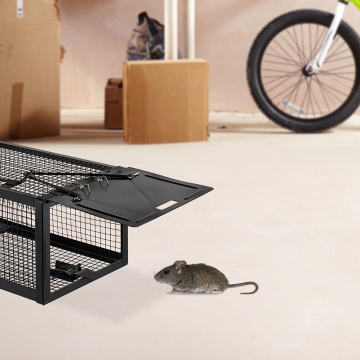 Actual product image Relaxdays Catch & Release Trap, Rats & Mice