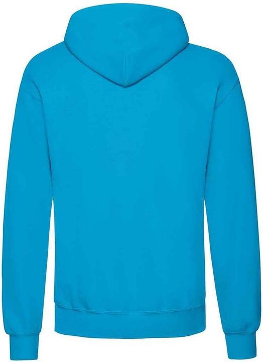 Actual product image Fruit of the Loom Adults Unisex Classic Hooded Sweatshirt (M)