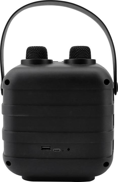 Actual product image Soundmaster BT2024SW Karaoke system Incl. microphone, rechargeable Black (Rechargeable battery operated)