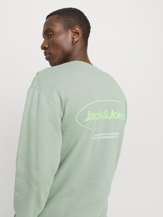 Image du produit Jack & Jones Jjebradley Graphic Sweat Crew Noos (S)