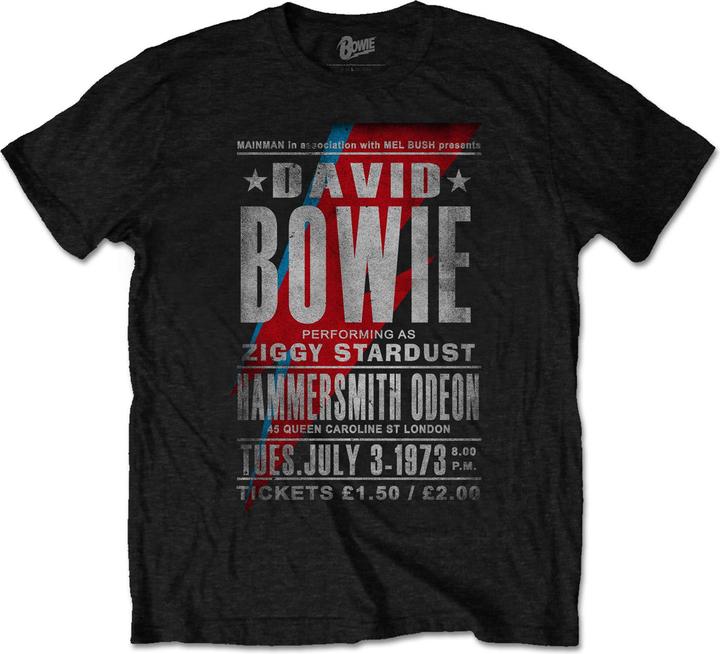 David Bowie Hammersmith Odeon