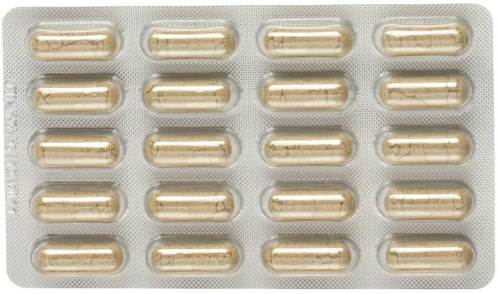 Actual product image Alpinamed Green-lipped mussel (120 Piece, Capsules, 140 g)