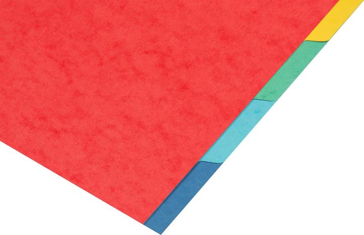 Actual product image Biella TOP COLOR - Register A4