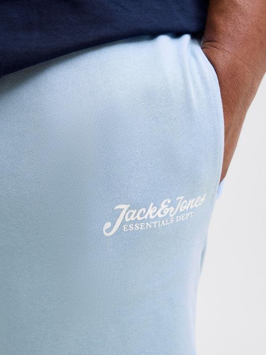 Produktbild Jack & Jones Plus Size Regular Fit Regular Fit Shorts Regular Fit Shorts (42)