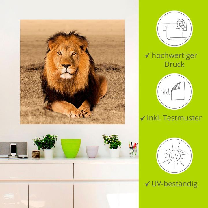 Image du produit Artland Lion T5RJ (50x50 cm)