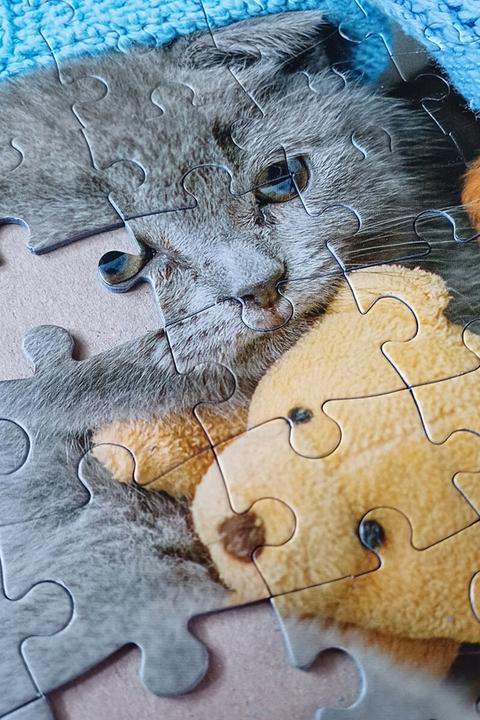 Produktbild Selecta Spielzeug Puzzle Süsses Kätzchen und schläfriger Hund, 100 Teile. (100 Teile)