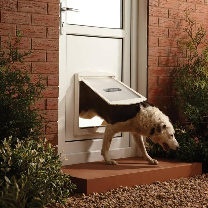 Produktbild PetSafe Staywell (Manuelle Katzenklappe)