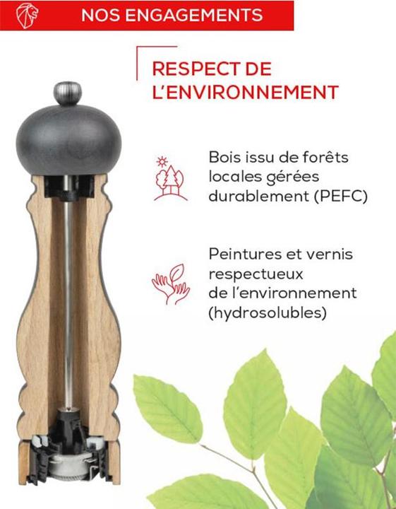 Image du produit Peugeot Paris (Sel)