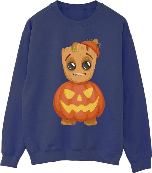 Image du produit - Sweat - Femme (XXL)