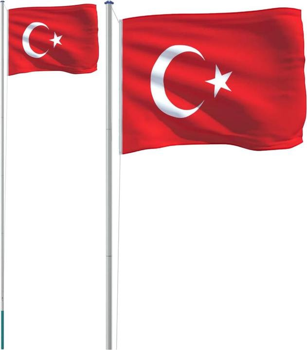 Image du produit VidaXL Drapeau de la Turquie avec mât 6,23 m Aluminium,Drapeau :,Couleur