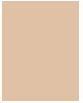 Actual product image Sisley Phyto Hydratant Complexion No "1.5 (1.5 Beige)